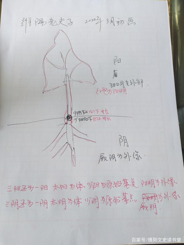 梁海玲的绝活一阳三阴：游戏界的“神奇戏法”