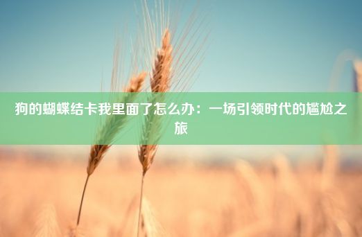 狗的蝴蝶结卡我里面了怎么办：一场引领时代的尴尬之旅